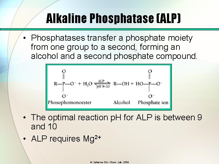 Alkaline Phosphatase (ALP) • Phosphatases transfer a phosphate moiety from one group to a