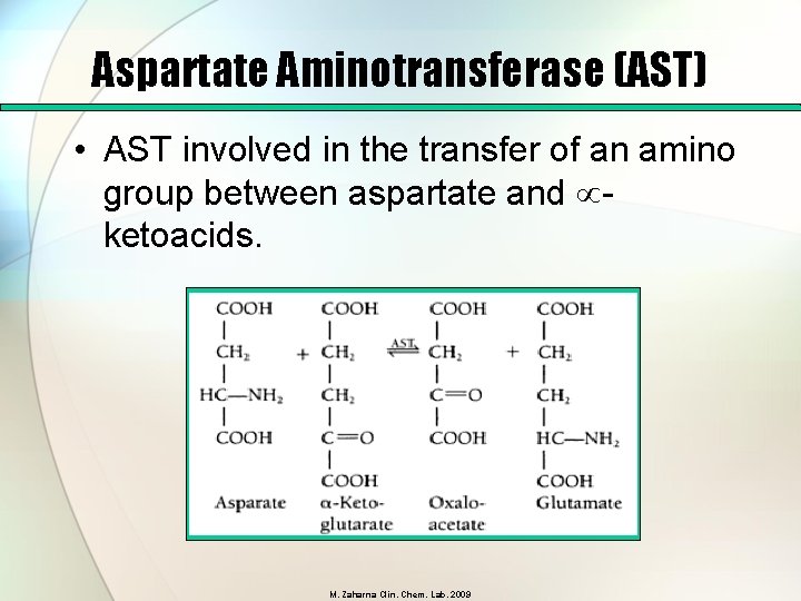 Aspartate Aminotransferase (AST) • AST involved in the transfer of an amino group between