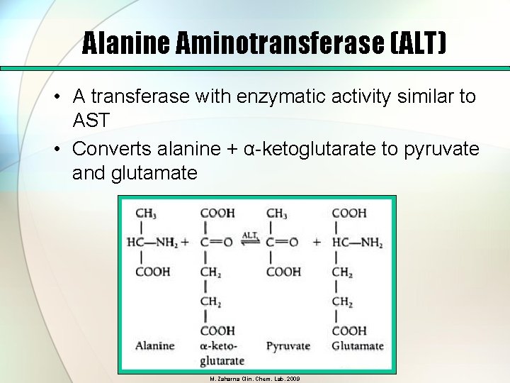 Alanine Aminotransferase (ALT) • A transferase with enzymatic activity similar to AST • Converts