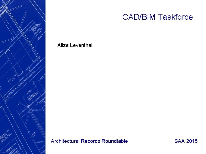CAD/BIM Taskforce Aliza Leventhal Architectural Records Roundtable SAA 2015 