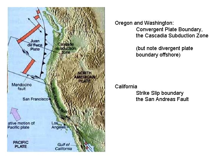 Oregon and Washington: Convergent Plate Boundary, the Cascadia Subduction Zone (but note divergent plate