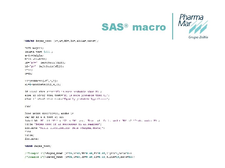 SAS® macro 