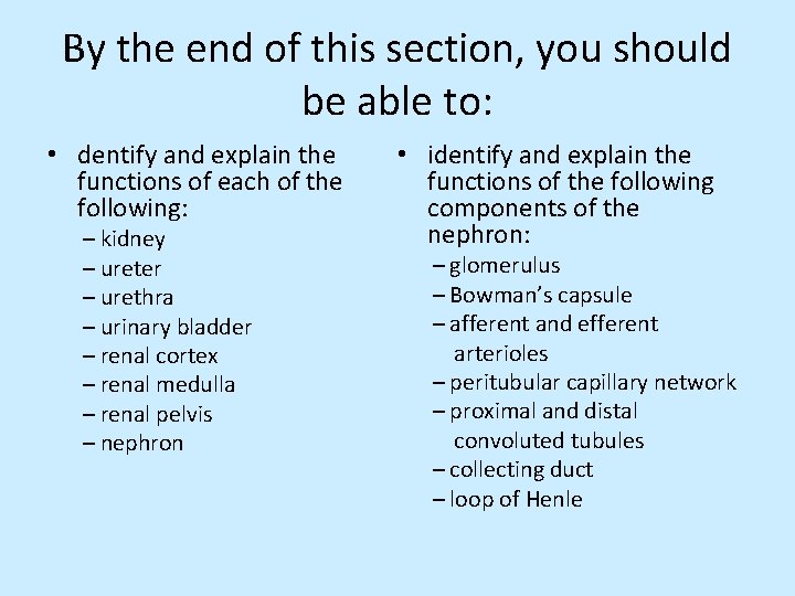 By the end of this section, you should be able to: • dentify and