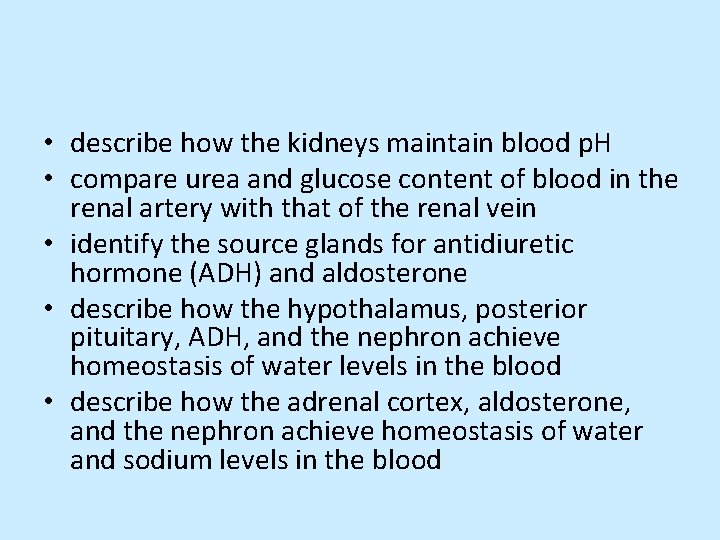  • describe how the kidneys maintain blood p. H • compare urea and