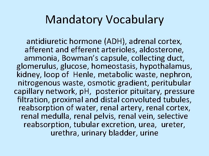 Mandatory Vocabulary antidiuretic hormone (ADH), adrenal cortex, afferent and efferent arterioles, aldosterone, ammonia, Bowman’s