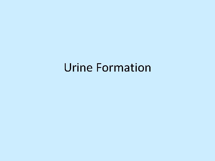 Urine Formation 