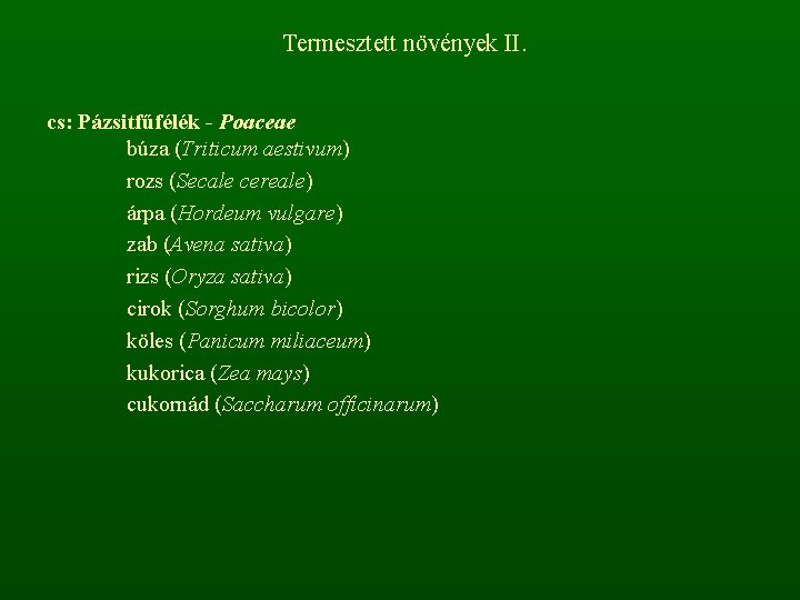 Termesztett növények II. cs: Pázsitfűfélék - Poaceae búza (Triticum aestivum) rozs (Secale cereale) árpa