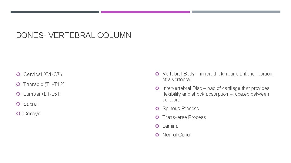 BONES- VERTEBRAL COLUMN Cervical (C 1 -C 7) Thoracic (T 1 -T 12) Lumbar