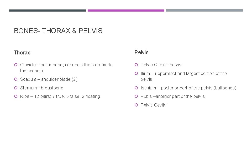 BONES- THORAX & PELVIS Thorax Pelvis Clavicle – collar bone; connects the sternum to