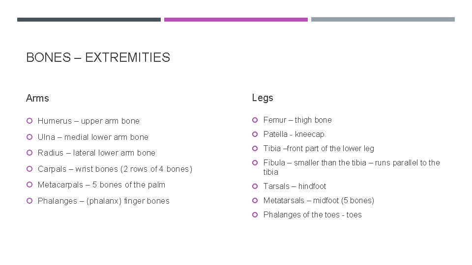 BONES – EXTREMITIES Arms Legs Humerus – upper arm bone Femur – thigh bone