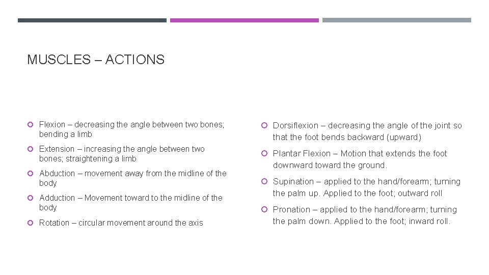 MUSCLES – ACTIONS Flexion – decreasing the angle between two bones; bending a limb