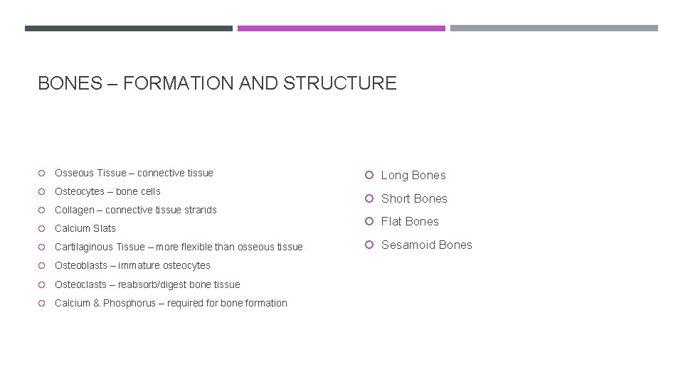 BONES – FORMATION AND STRUCTURE Osseous Tissue – connective tissue Osteocytes – bone cells