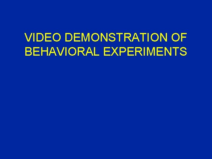 VIDEO DEMONSTRATION OF BEHAVIORAL EXPERIMENTS 