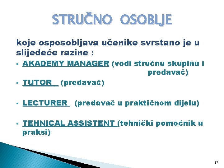 STRUČNO OSOBLJE koje osposobljava učenike svrstano je u slijedeće razine : § AKADEMY MANAGER