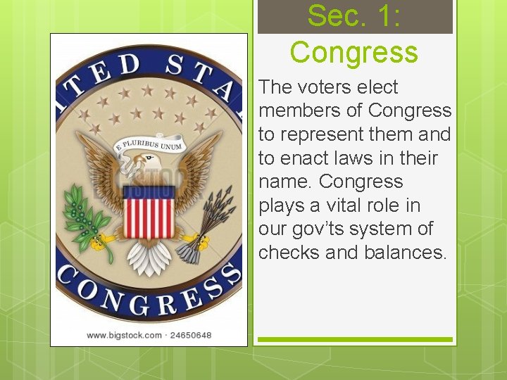Sec. 1: Congress The voters elect members of Congress to represent them and to