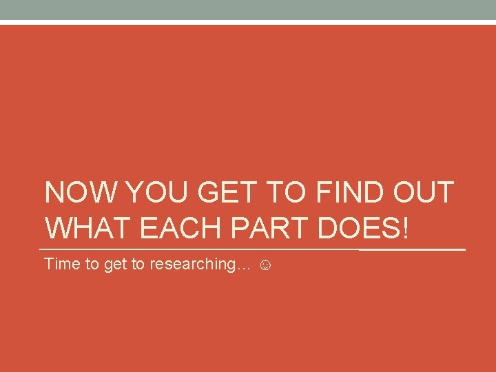 NOW YOU GET TO FIND OUT WHAT EACH PART DOES! Time to get to