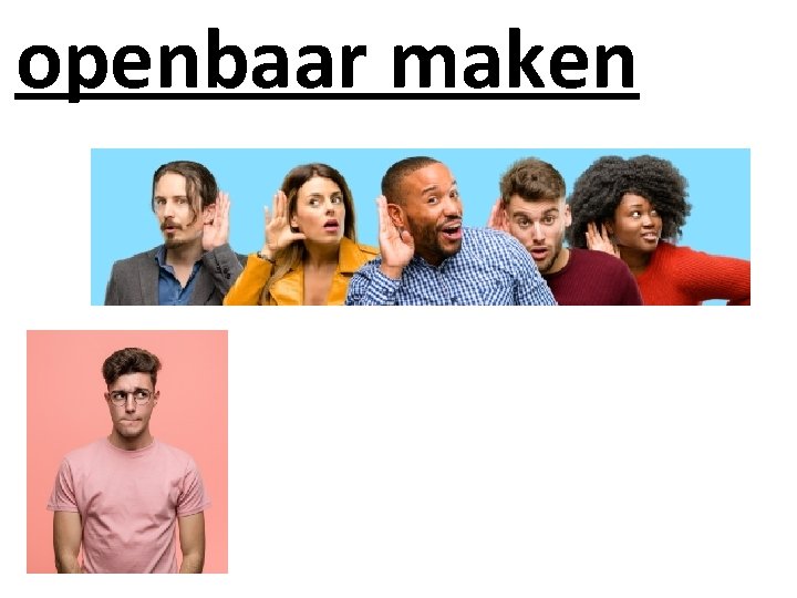 openbaar maken 