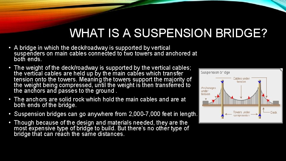 WHAT IS A SUSPENSION BRIDGE? • A bridge in which the deck/roadway is supported