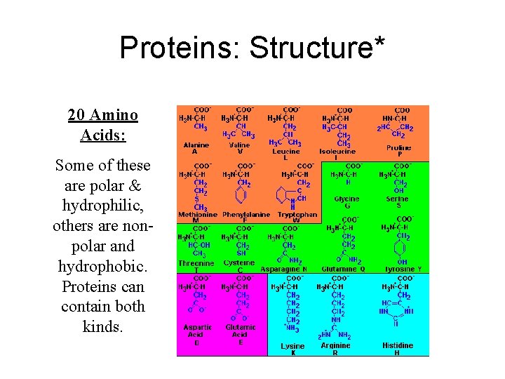Proteins: Structure* 20 Amino Acids: Some of these are polar & hydrophilic, others are