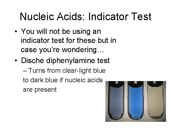 Nucleic Acids: Indicator Test • You will not be using an indicator test for