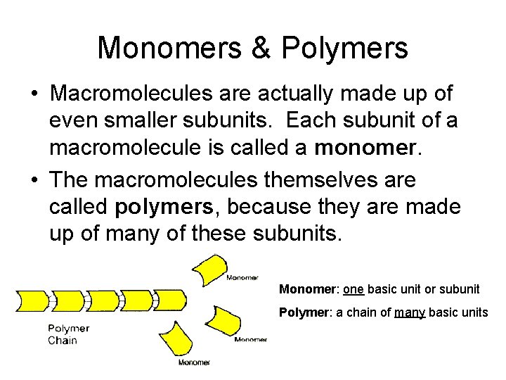 Monomers & Polymers • Macromolecules are actually made up of even smaller subunits. Each