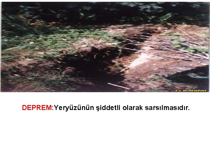 DEPREM: Yeryüzünün şiddetli olarak sarsılmasıdır. 