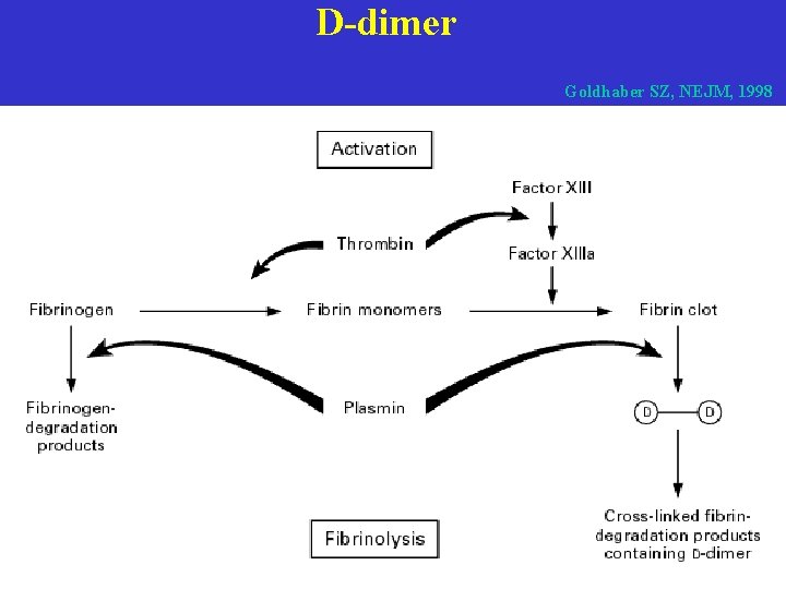 D-dimer Goldhaber SZ, NEJM, 1998 