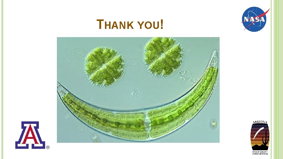 THANK YOU! 