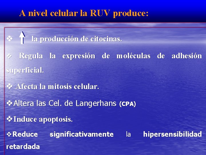 A nivel celular la RUV produce: la producción de citocinas. Regula la expresión de