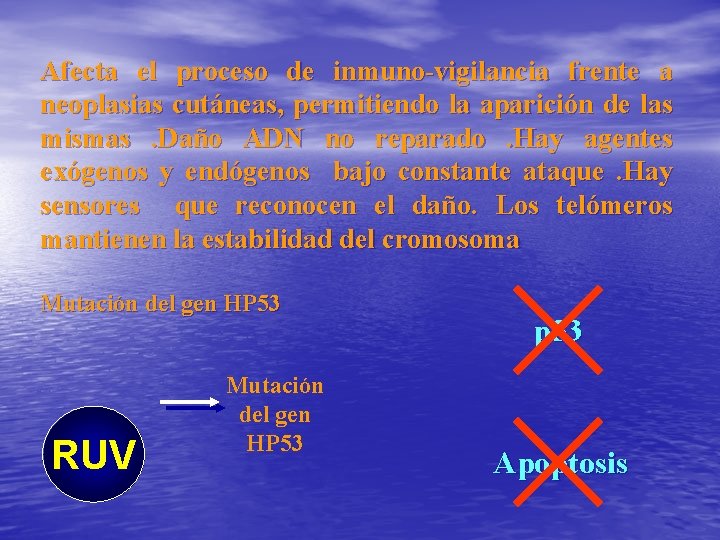 Afecta el proceso de inmuno-vigilancia frente a neoplasias cutáneas, permitiendo la aparición de las