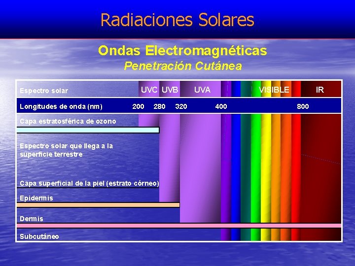 Radiaciones Solares Ondas Electromagnéticas Penetración Cutánea Espectro solar Longitudes de onda (nm) UVC UVB