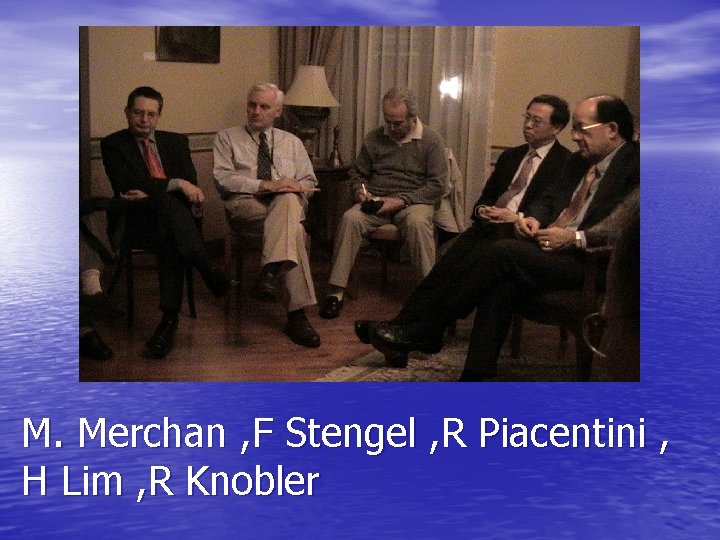 M. Merchan , F Stengel , R Piacentini , H Lim , R Knobler