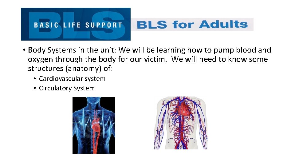  • Body Systems in the unit: We will be learning how to pump