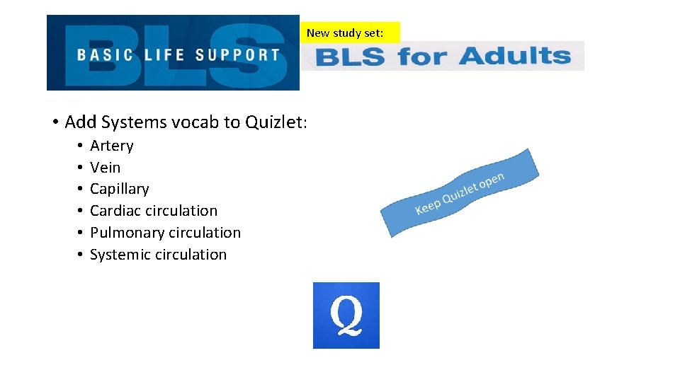 New study set: • Add Systems vocab to Quizlet: • • • Artery Vein