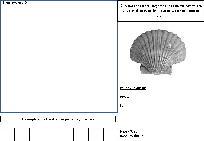 Homework 2 2. Make a tonal drawing of the shell below. Aim to use