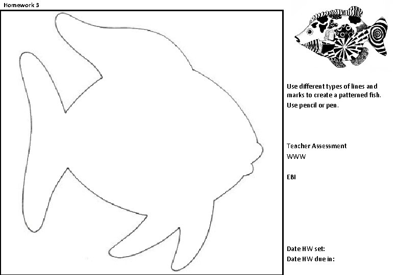 Homework 3 Use different types of lines and marks to create a patterned fish.
