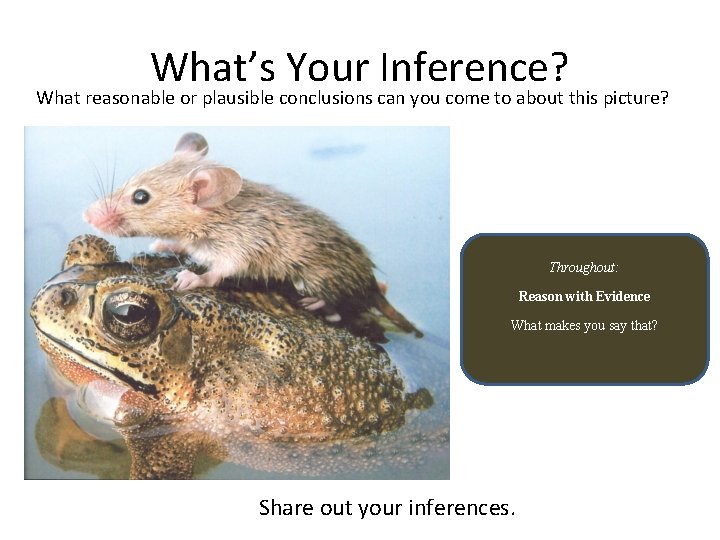 What’s Your Inference? What reasonable or plausible conclusions can you come to about this