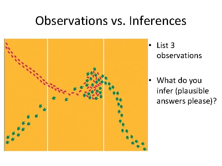 Observations vs. Inferences • List 3 observations • What do you infer (plausible answers