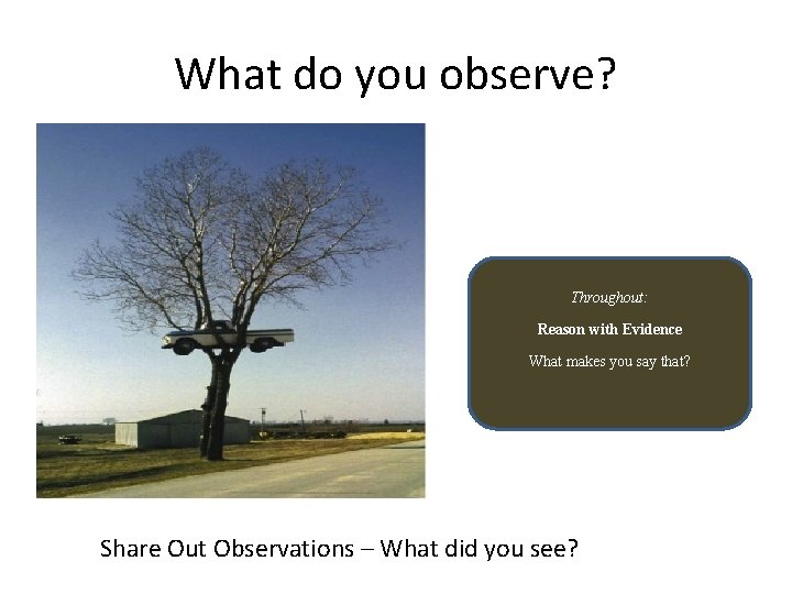 What do you observe? Throughout: Reason with Evidence What makes you say that? Share