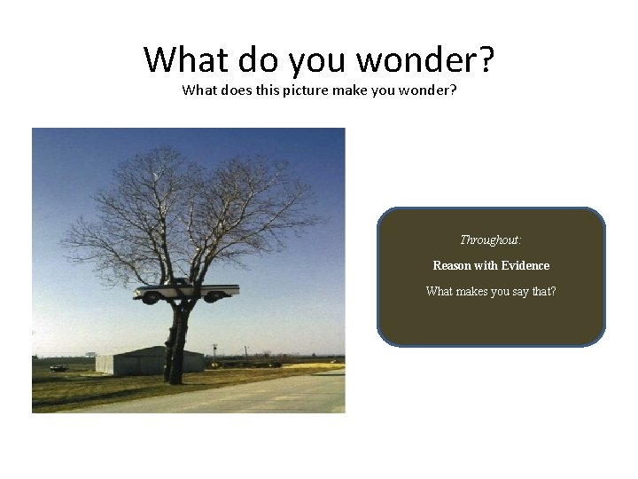 What do you wonder? What does this picture make you wonder? Throughout: Reason with