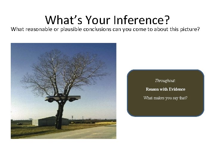What’s Your Inference? What reasonable or plausible conclusions can you come to about this