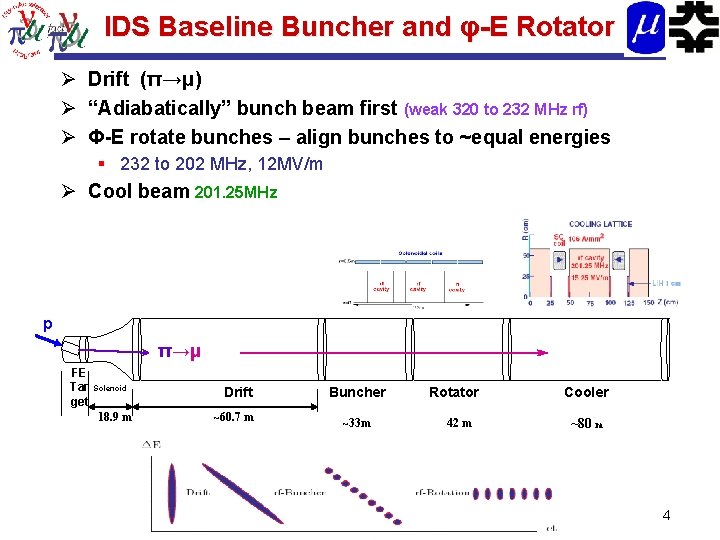IDS Baseline Buncher and φ-E Rotator Ø Drift (π→μ) Ø “Adiabatically” bunch beam first
