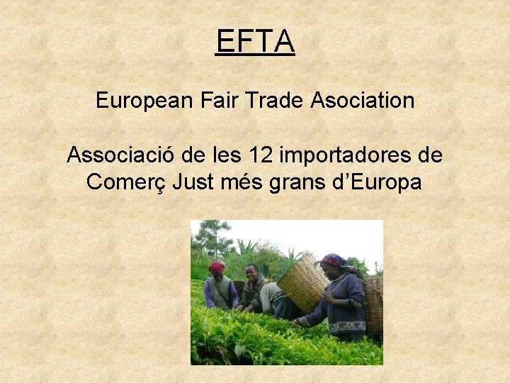 EFTA European Fair Trade Asociation Associació de les 12 importadores de Comerç Just més