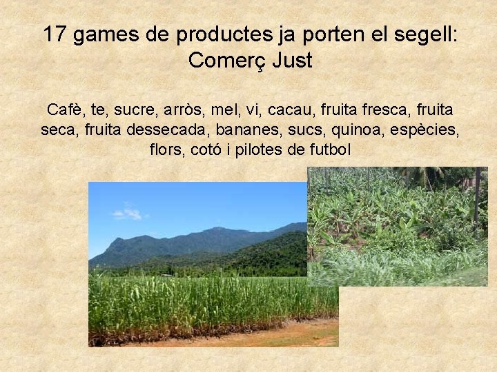 17 games de productes ja porten el segell: Comerç Just Cafè, te, sucre, arròs,