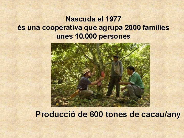 Nascuda el 1977 és una cooperativa que agrupa 2000 famílies unes 10. 000 persones