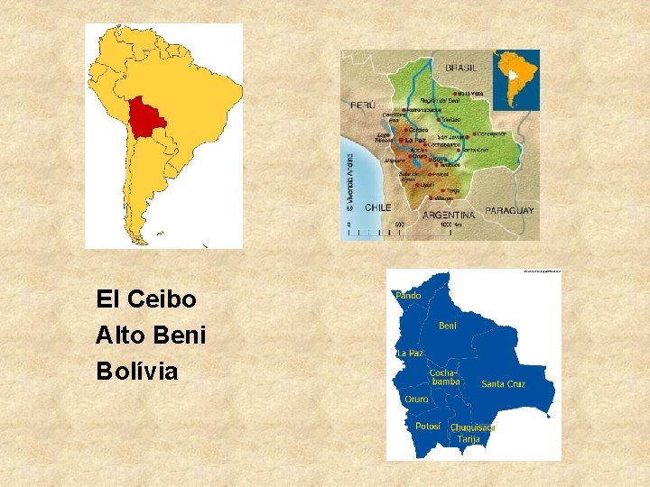 El Ceibo Alto Beni Bolívia 