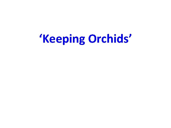 ‘Keeping Orchids’ 
