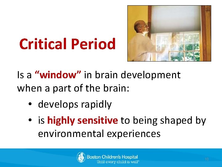 Critical Period Is a “window” in brain development when a part of the brain: