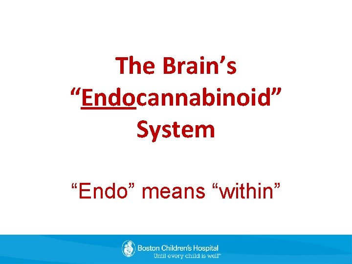 The Brain’s “Endocannabinoid” System “Endo” means “within” 