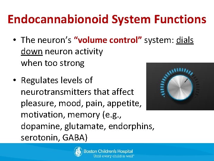 Endocannabionoid System Functions • The neuron’s “volume control” system: dials down neuron activity when